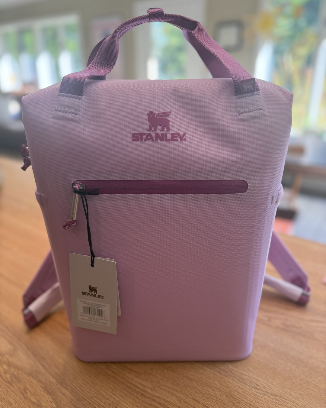Stanley Madeleine Soft Cooler Backpack, 20 can